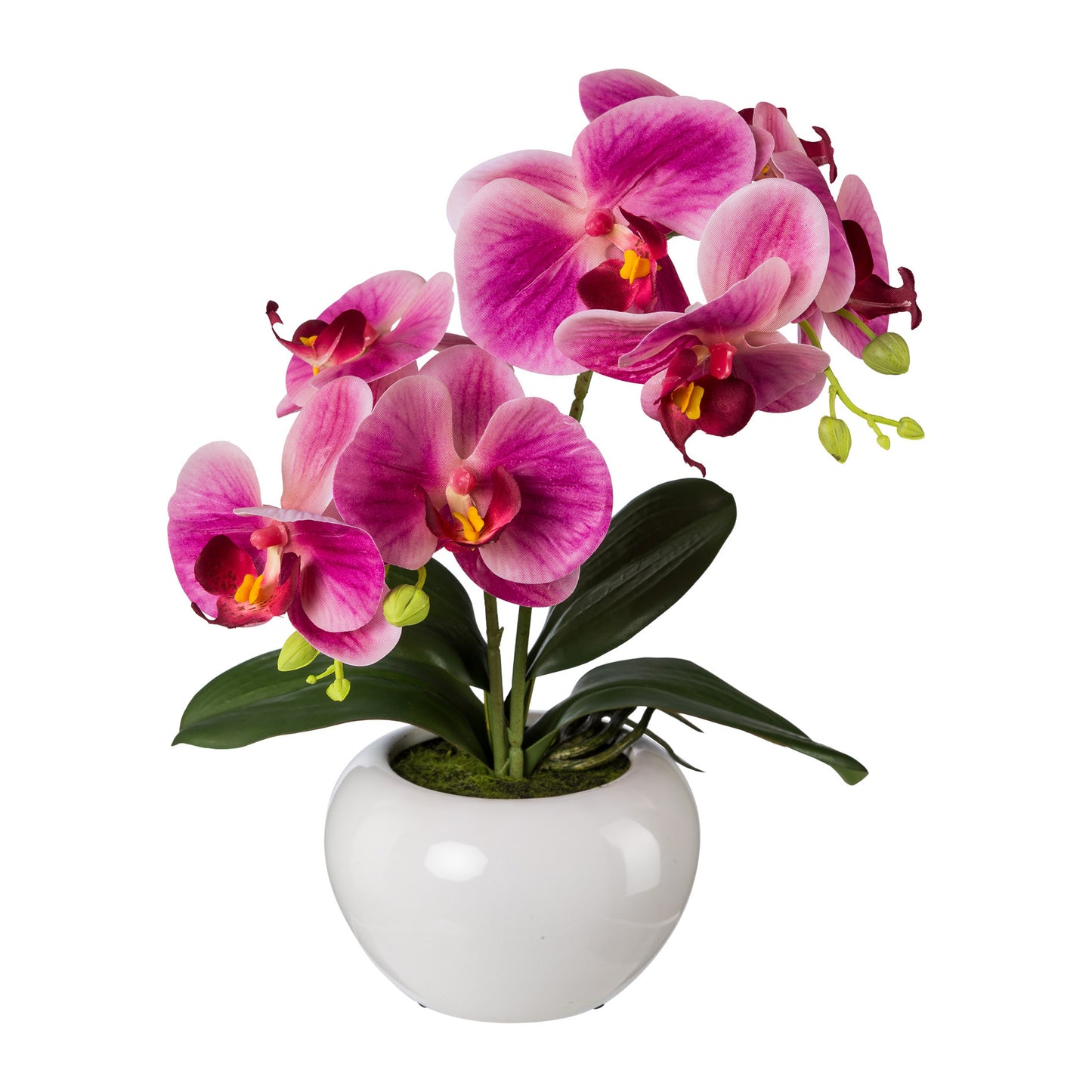 Künstliche Phalaenopsis 35 cm in eleganter weißer Keramikschale - Farbenvielfalt für Räume