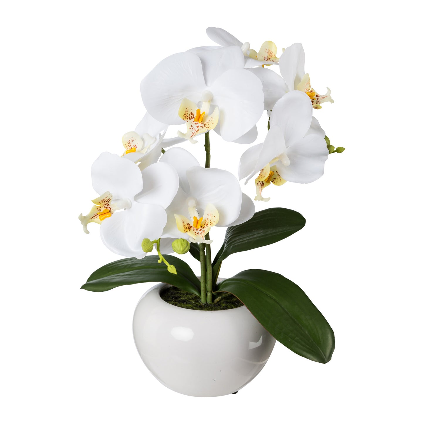 Künstliche Phalaenopsis 35 cm in eleganter weißer Keramikschale - Farbenvielfalt für Räume