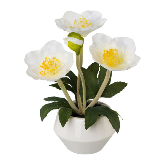 2er Set Christrosen in moderner Keramikschale – Weihnachtsdeko, Höhe 20 cm