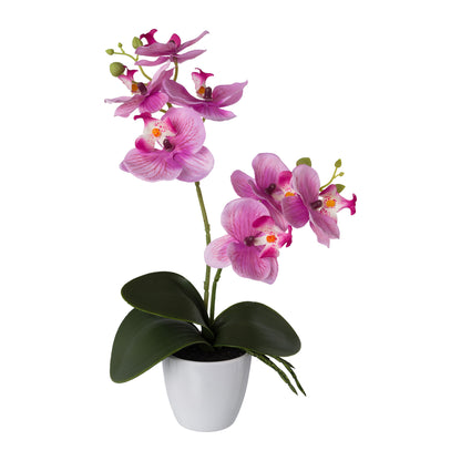 2er Set Künstliche Orchideen Phalaenopsis 36 cm in 4 Farben im Kunststofftopf
