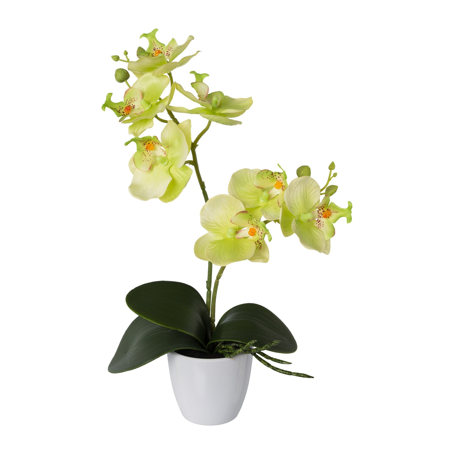 2er Set Künstliche Orchideen Phalaenopsis 36 cm in 4 Farben im Kunststofftopf
