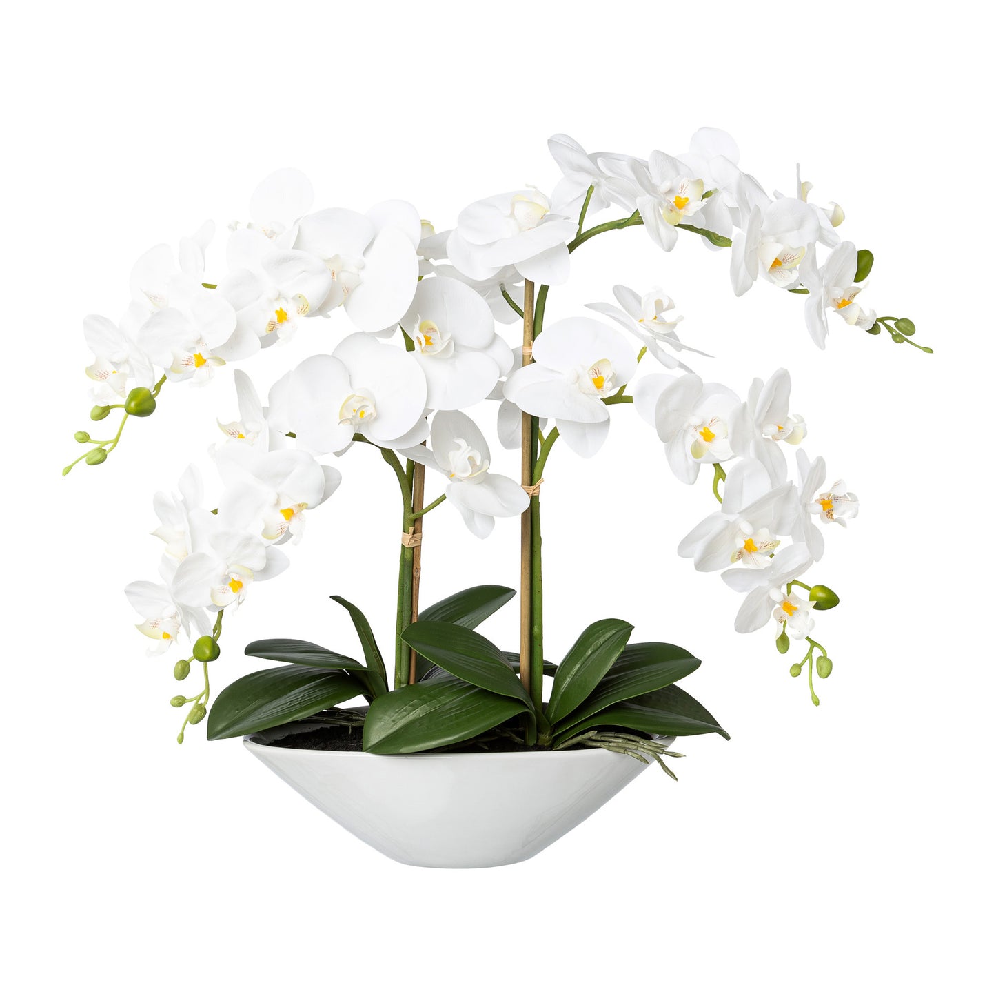 Künstliche Phalaenopsis Orchidee 53 cm in weißer Keramikschale – Pflegeleicht & stilvoll