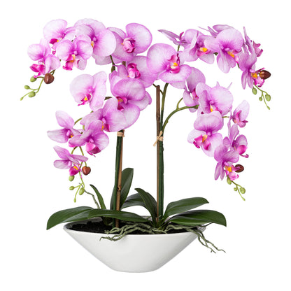 Künstliche Phalaenopsis Orchidee 53 cm in weißer Keramikschale – Pflegeleicht & stilvoll