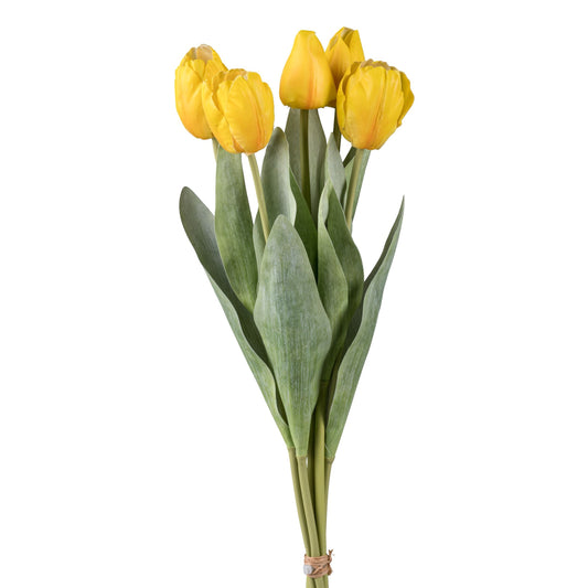 Tulpenbund x5, 49cm, gelb