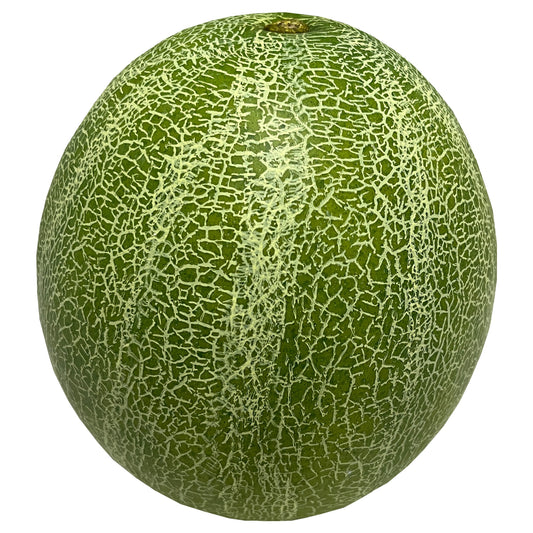 Realistische Cantaloupe-Melone Kunstpflanze Ø15cm naturgetreu Deko für Zuhause und Wohnzimmer