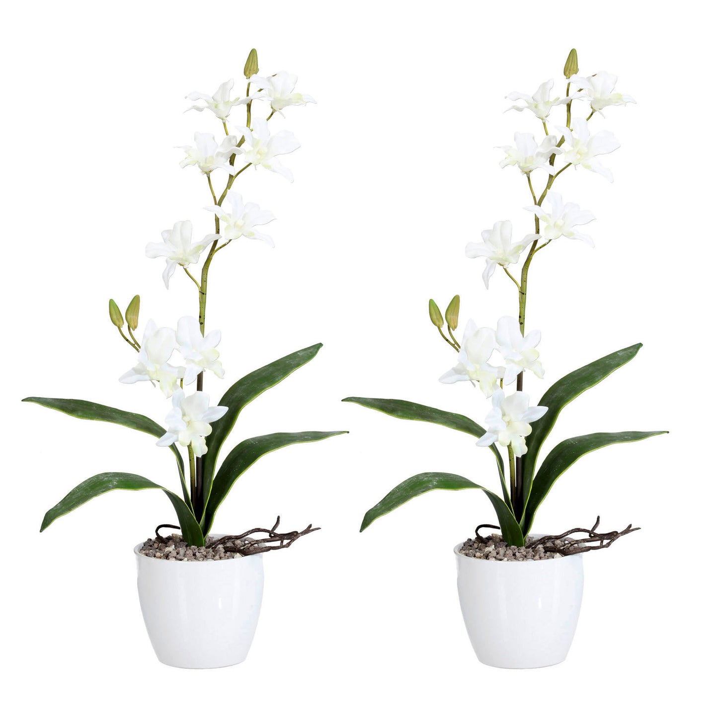 2er Set Kunstorchideen Dendrobie 60cm, weiße Blumen in elegantem Keramiktopf