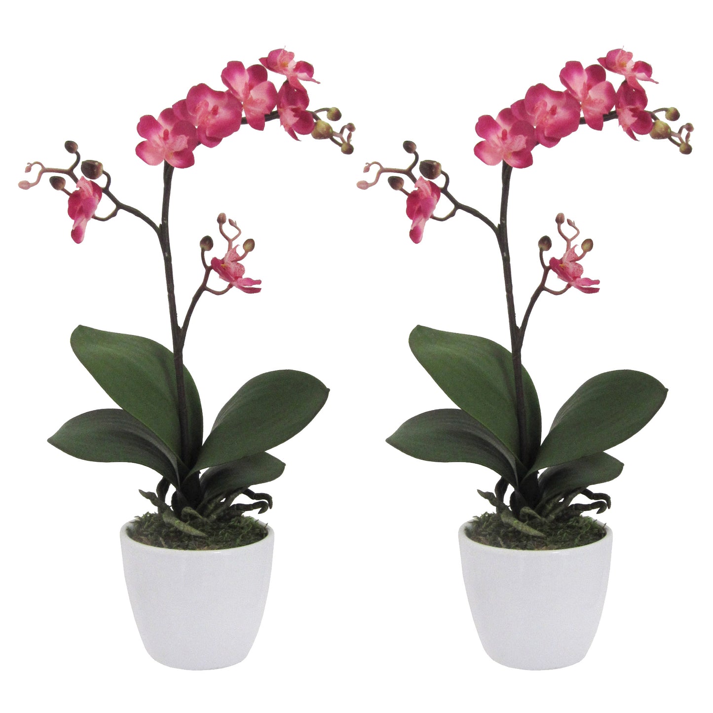 2er Set Phalaenopsis Cassandra Kunstpflanzen 55 cm cerise im weißen Keramiktopf 11 cm