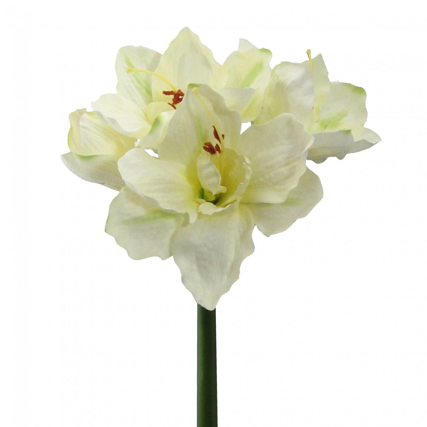 Künstliche Amaryllis Creme Pflanze 65 cm - zauberhafte Weihnachtsdeko im Winter