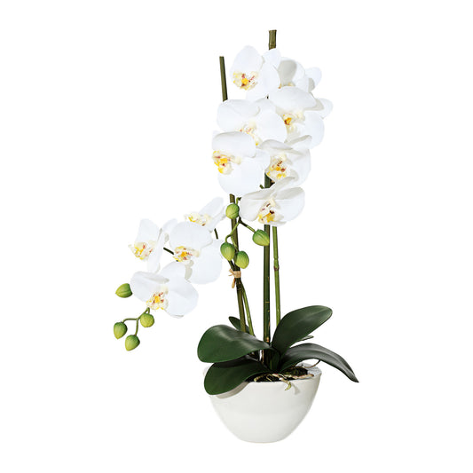 Phalaenopsis Orchidee 50cm Weiß in Keramikschale 14,5x8,5cm – Pflegeleichte Kunstpflanze