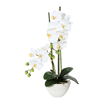 Phalaenopsis Orchidee 50cm Weiß in Keramikschale 14,5x8,5cm – Pflegeleichte Kunstpflanze
