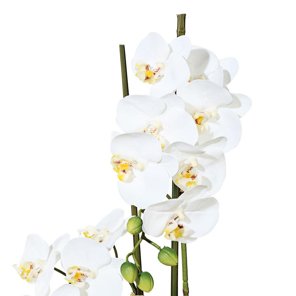 Phalaenopsis Orchidee 50cm Weiß in Keramikschale 14,5x8,5cm – Pflegeleichte Kunstpflanze