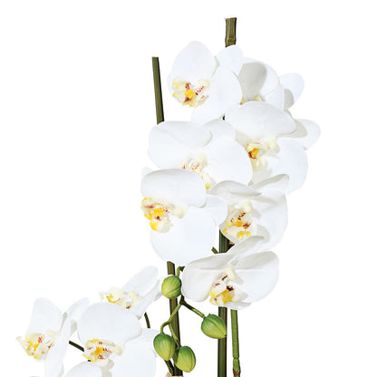 Phalaenopsis Orchidee 50cm Weiß in Keramikschale 14,5x8,5cm – Pflegeleichte Kunstpflanze