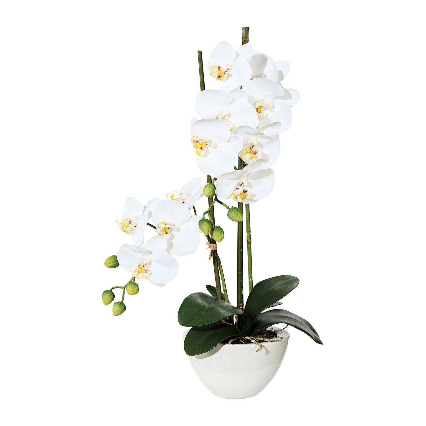 Phalaenopsis Orchidee 50cm Weiß in Keramikschale 14,5x8,5cm – Pflegeleichte Kunstpflanze