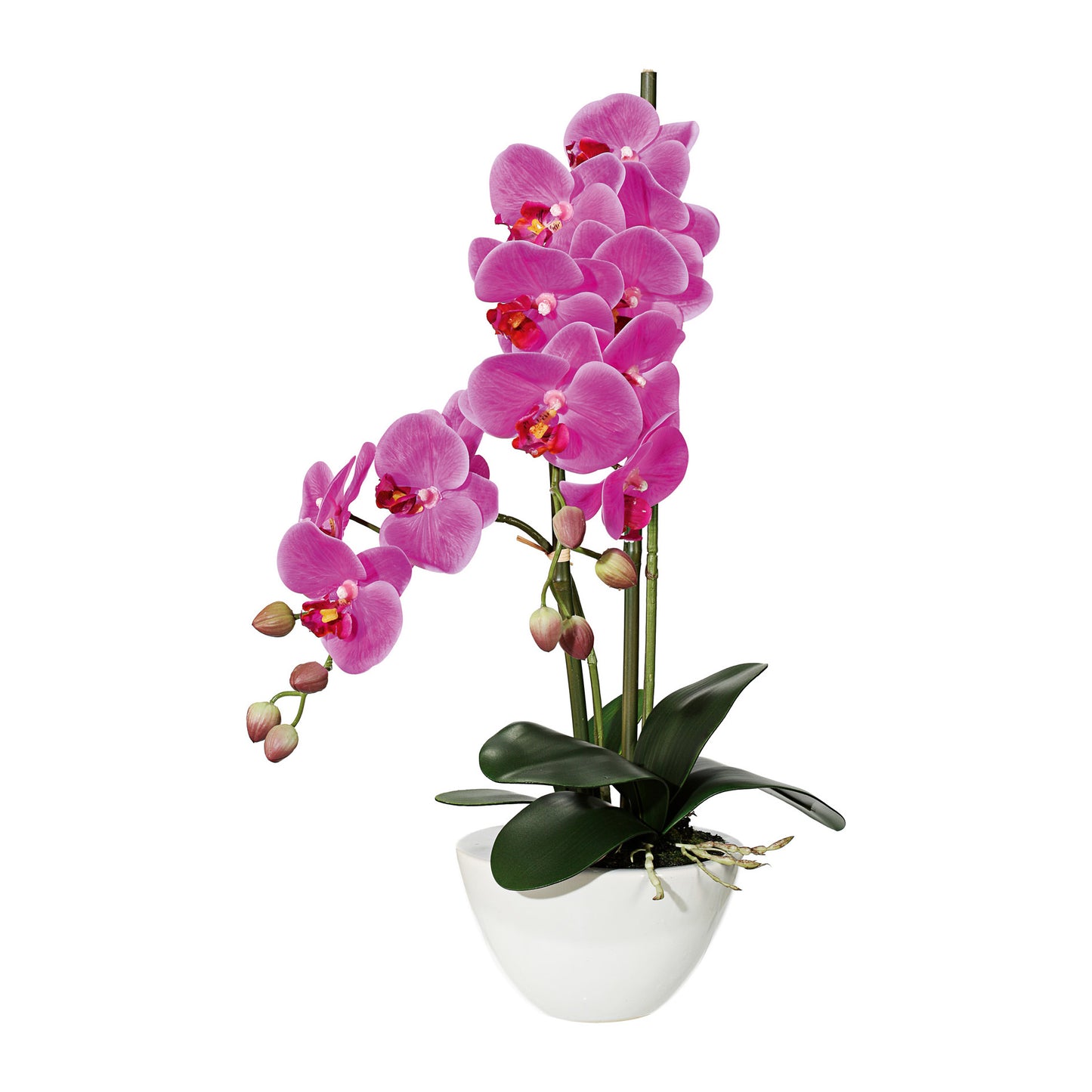 Phalaenopsis Orchidee 50 cm lila – Pflegeleichte Kunstpflanze in weißer Keramikschale
