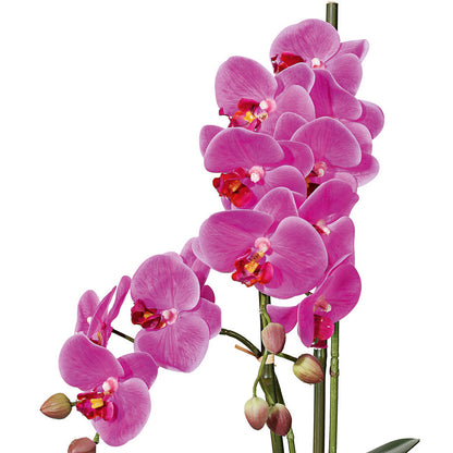 Phalaenopsis Orchidee 50 cm lila – Pflegeleichte Kunstpflanze in weißer Keramikschale
