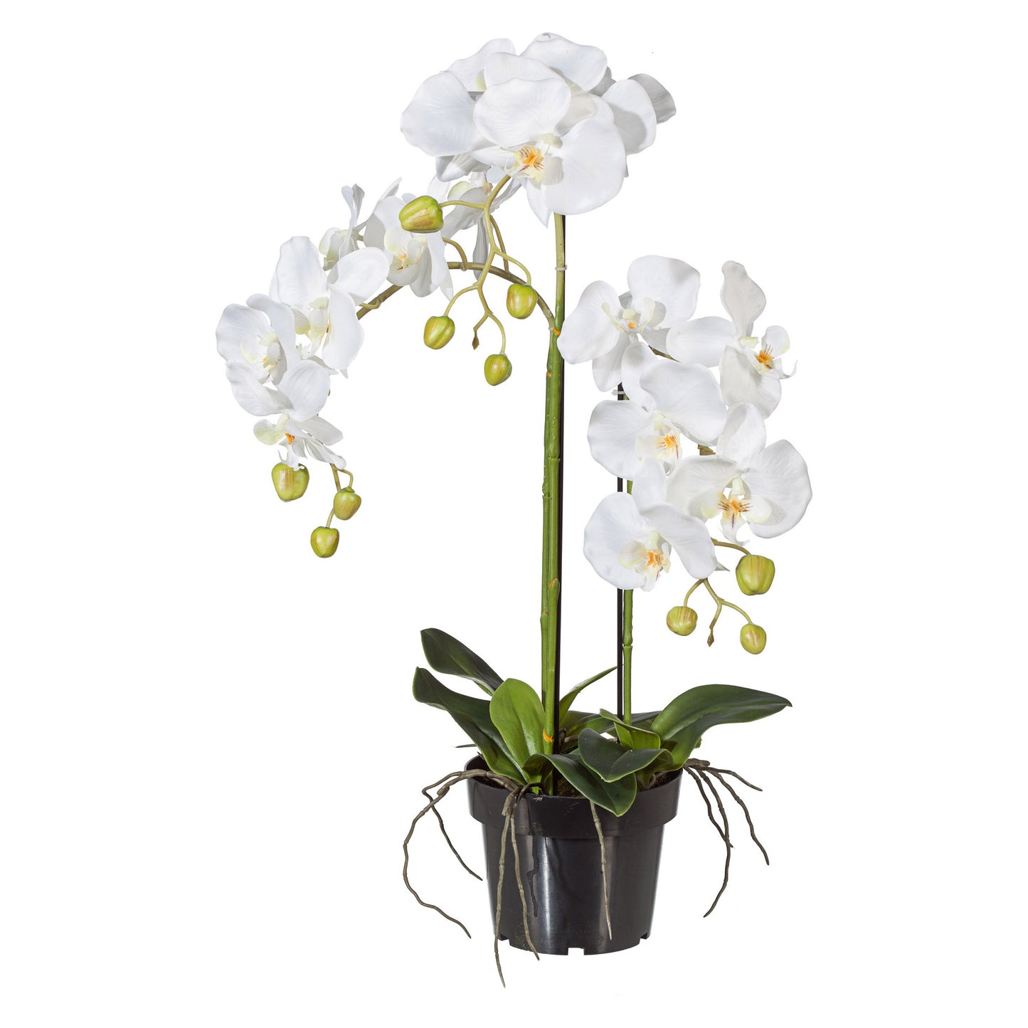 Künstliche weiße Phalaenopsis Orchidee 62 cm im Topf – Pflegeleicht & dekorativ