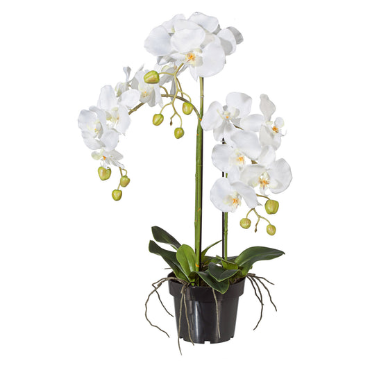 Künstliche weiße Phalaenopsis Orchidee 62 cm im Topf – Pflegeleicht & dekorativ