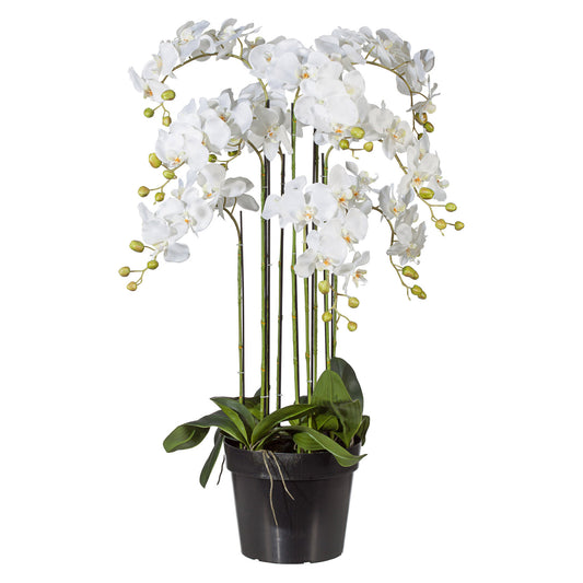 Künstliche weiße Phalaenopsis-Orchidee 110 cm im schwarzen Topf – Stilvoll und pflegeleicht