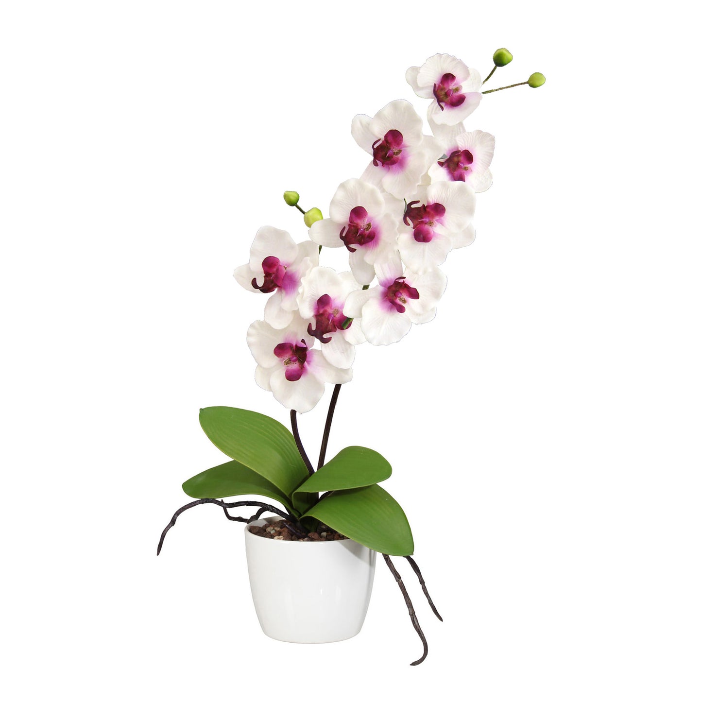 Orchidee Phalaenopsis 60 cm – Kunstpflanze mit 9 Blüten in Weiß-Lila, Keramiktopf 13 cm