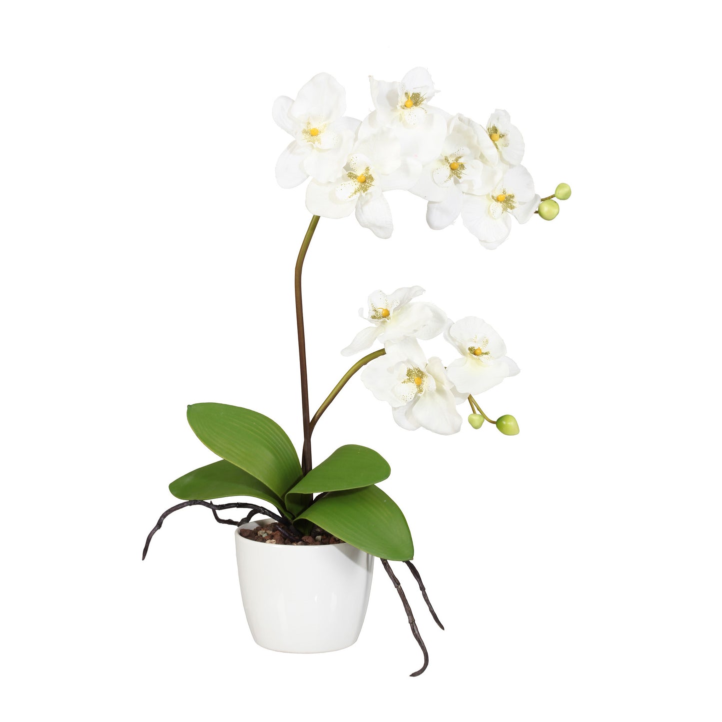 Orchidee Phalaenopsis 60 cm Creme Kunstpflanze im eleganten weißen Keramiktopf 13 cm
