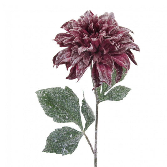 Künstliche Dahlie mit Kunstschnee 62 cm in Bordeaux - Exquisite Weihnachtsdeko