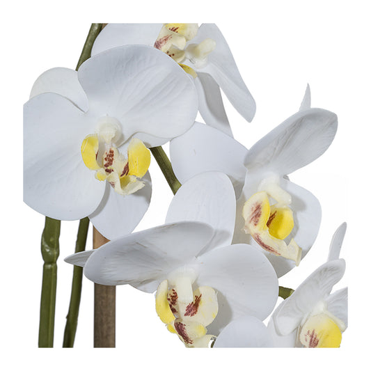 Miniphalaenopsis Orchidee 43 cm in Weiß – Real Touch Kunstpflanze im Keramiktopf 9,5 cm