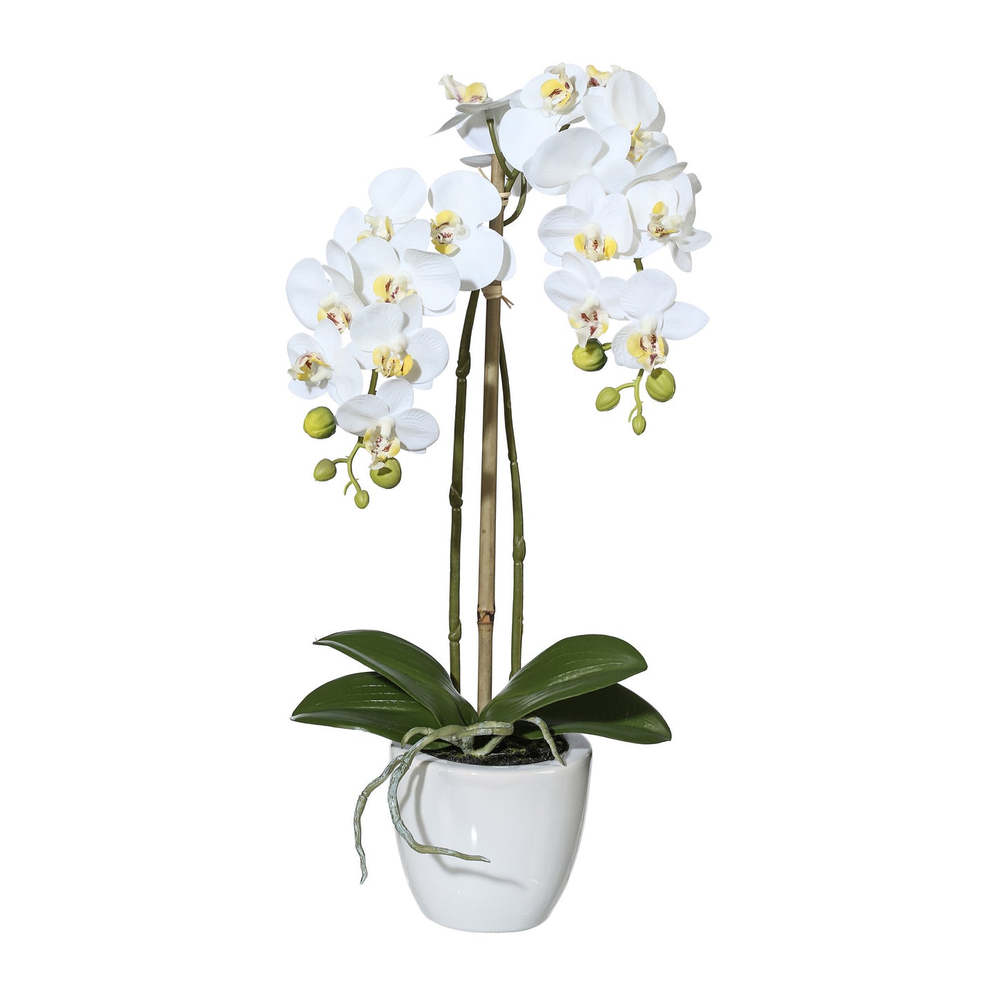 Miniphalaenopsis Orchidee 43 cm in Weiß – Real Touch Kunstpflanze im Keramiktopf 9,5 cm