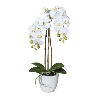 Miniphalaenopsis Orchidee 43 cm in Weiß – Real Touch Kunstpflanze im Keramiktopf 9,5 cm