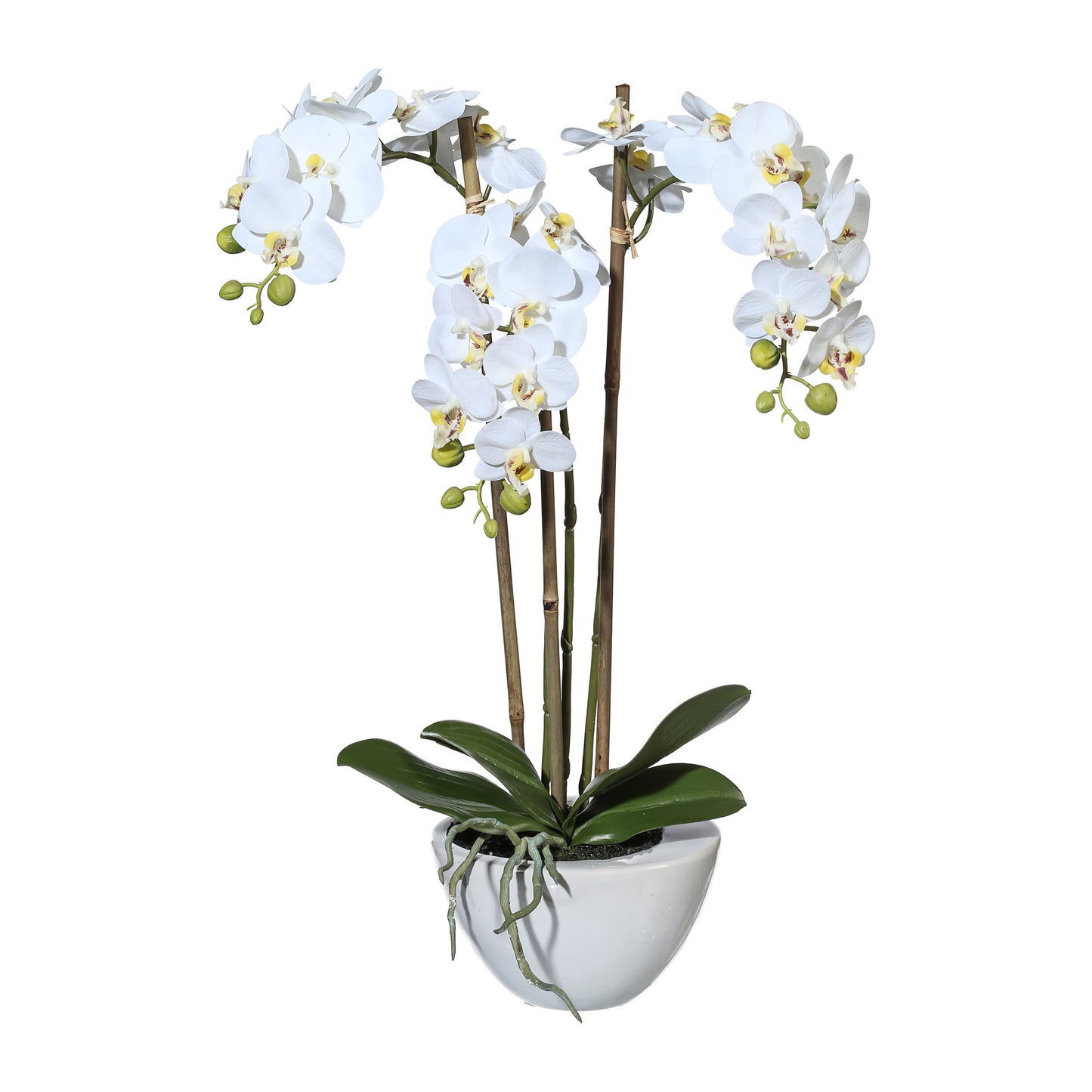 Miniphalaenopsis Kunstpflanze 51 cm in eleganter Keramikschale – Real Touch Orchidee