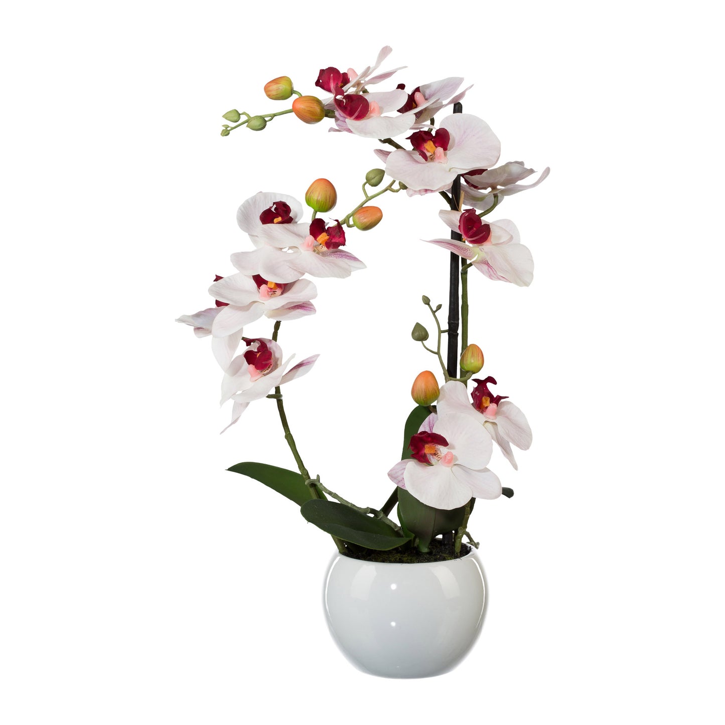 Phalaenopsis Orchidee 42 cm im Keramiktopf – Rosa Real Touch Kunstpflanze für Zuhause