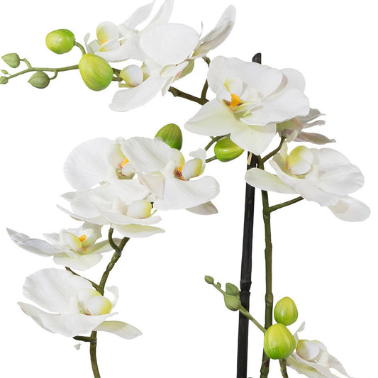 Phalaenopsis 3D-Druck Kunstpflanze 42 cm im weißen Keramiktopf – Pflegeleicht und elegant
