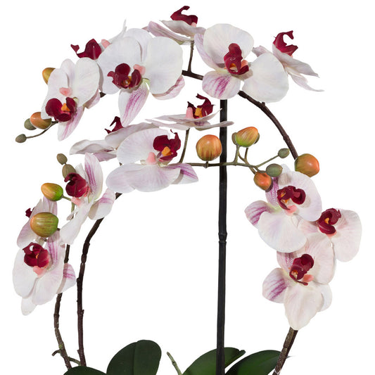 Phalaenopsis Kunstpflanze 52 cm im Keramiktopf rosa Real Touch, pflegeleicht und elegant