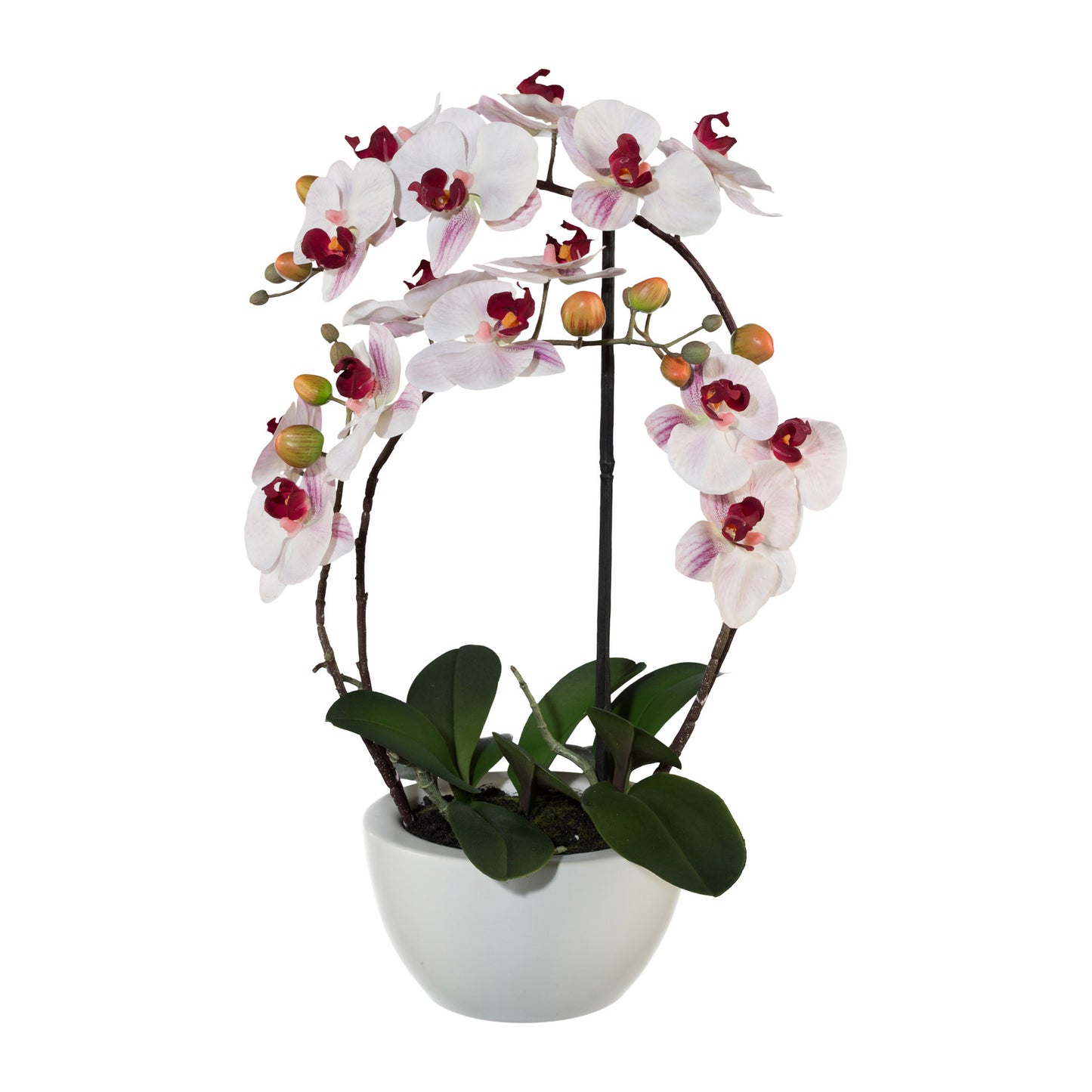 Phalaenopsis Kunstpflanze 52 cm im Keramiktopf rosa Real Touch, pflegeleicht und elegant