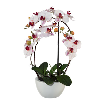 Phalaenopsis Kunstpflanze 52 cm im Keramiktopf rosa Real Touch, pflegeleicht und elegant