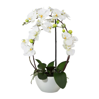 Phalaenopsis Kunstpflanze 52 cm in weißem Keramiktopf mit Real Touch Effekt
