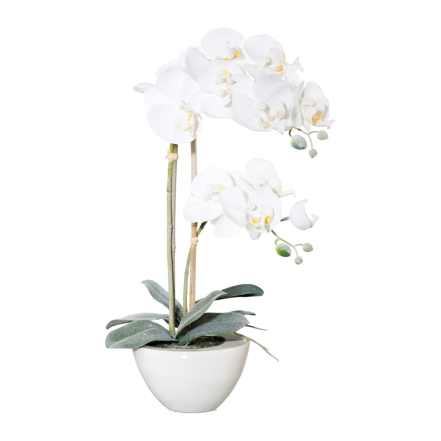 Künstliche Orchidee in weißer Keramikschale 49 cm – Festliche Dekoration für Weihnachten