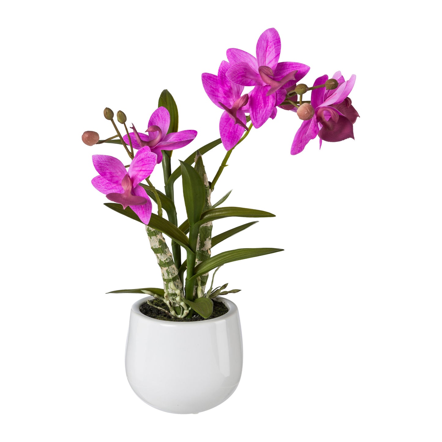 Künstliche Japanorchidee 40 cm im modernen weißen Keramiktopf – Pflegeleichte Deko