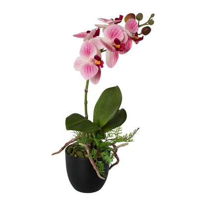 Künstliche Orchidee 35 cm im schwarzen Topf – Realistische Blüten in Rosa & Weiß