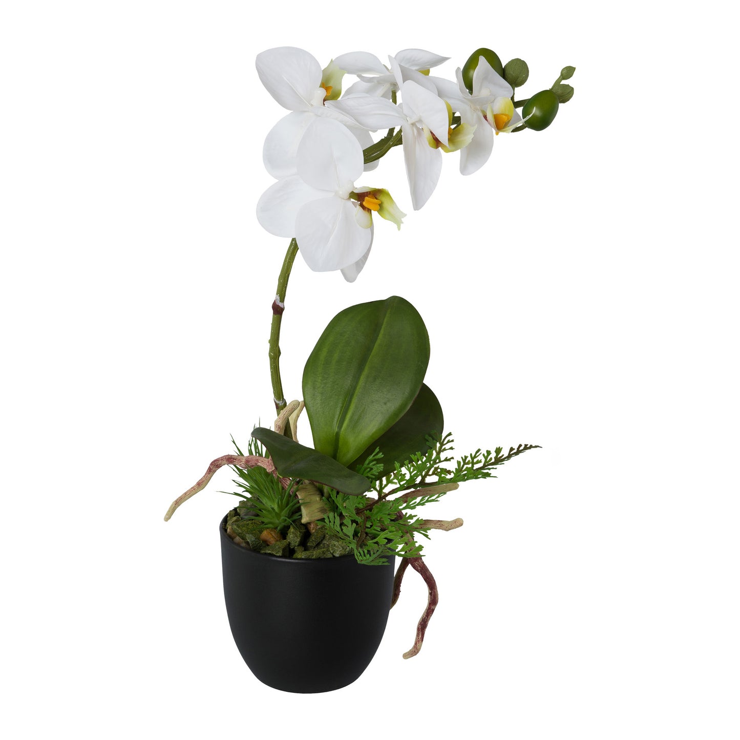 Künstliche Orchidee 35 cm im schwarzen Topf – Realistische Blüten in Rosa & Weiß