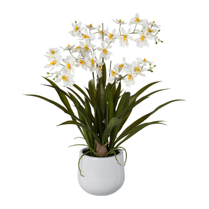 Künstliche Gambia-Orchidee 57 cm im weißen Keramiktopf - Prachtvolle Deko in verschiedenen Farben