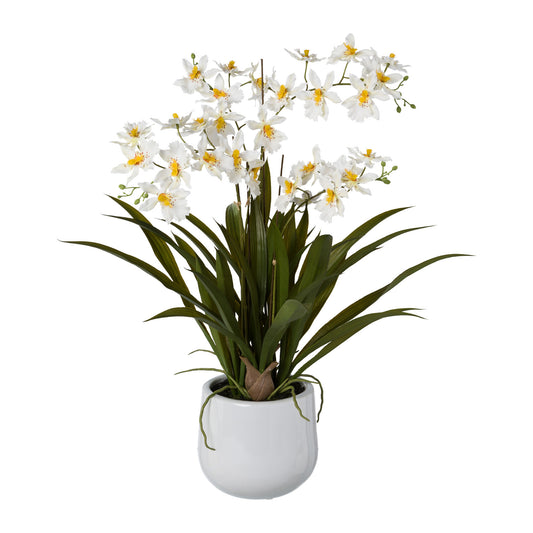 Künstliche Gambia-Orchidee 57 cm im weißen Keramiktopf - Prachtvolle Deko in verschiedenen Farben