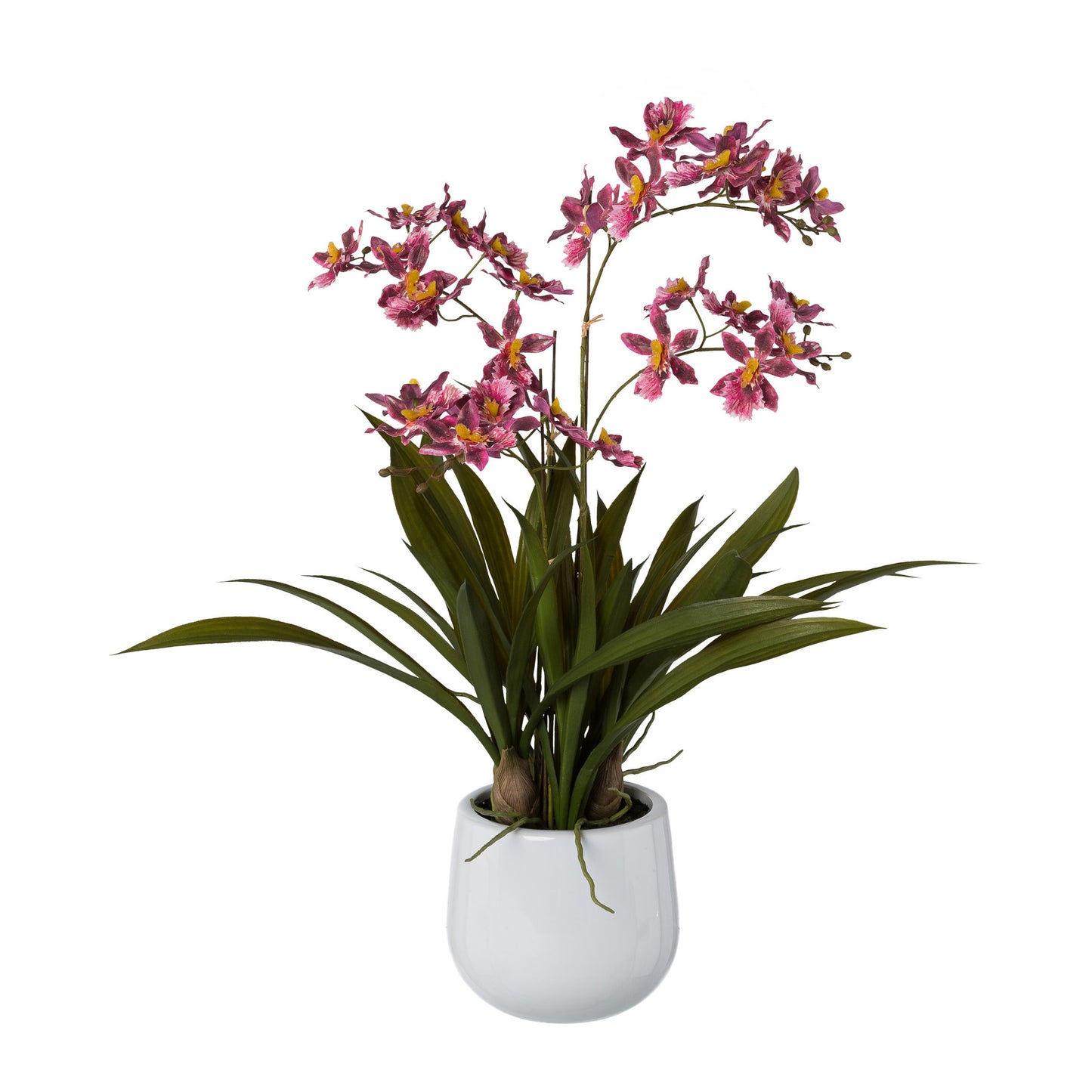 Künstliche Gambia-Orchidee 57 cm im weißen Keramiktopf - Prachtvolle Deko in verschiedenen Farben