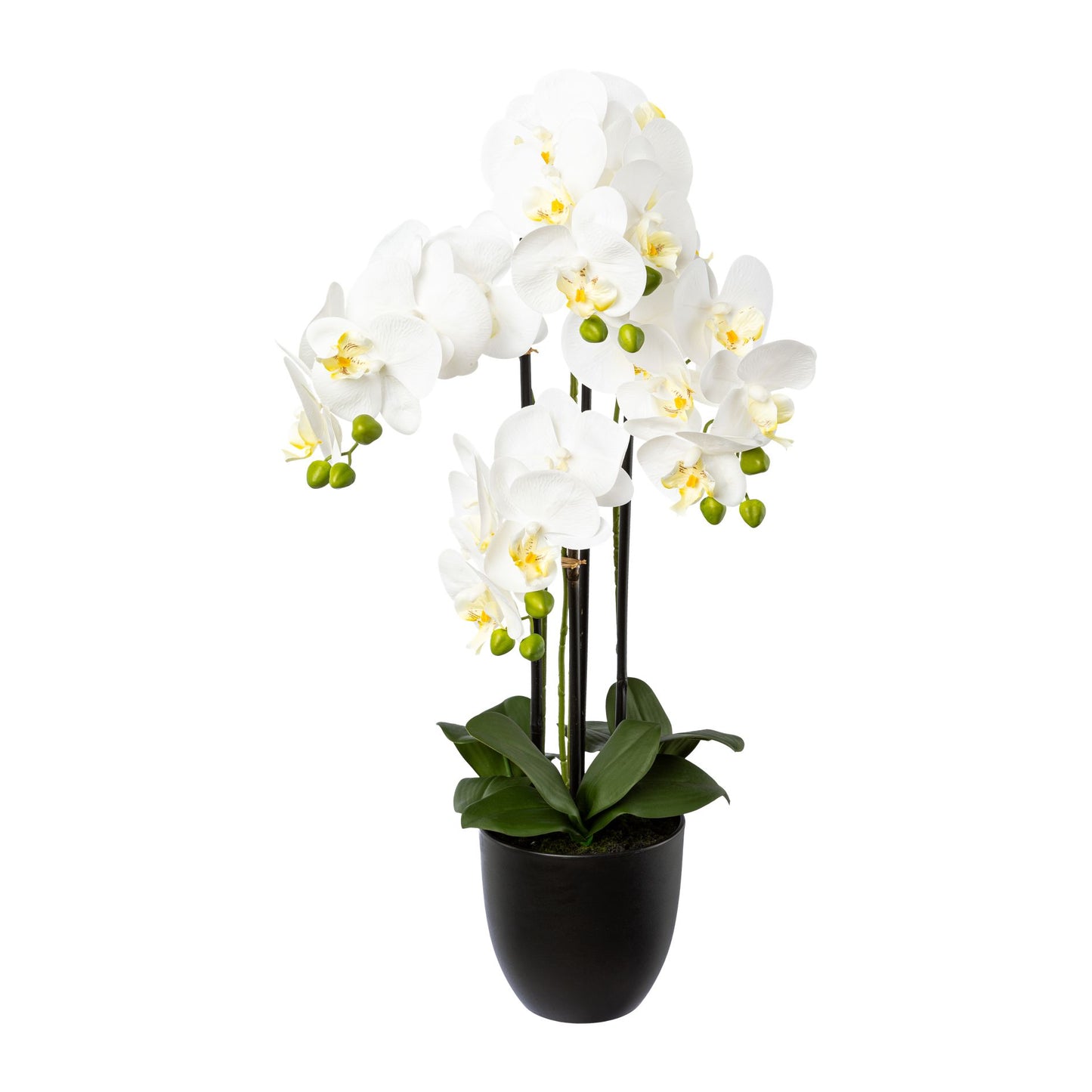 Phalaenopsis Kunstpflanze 69 cm Weiß im 15,5x14,5 cm Resintopf – Pflegeleicht und Elegant