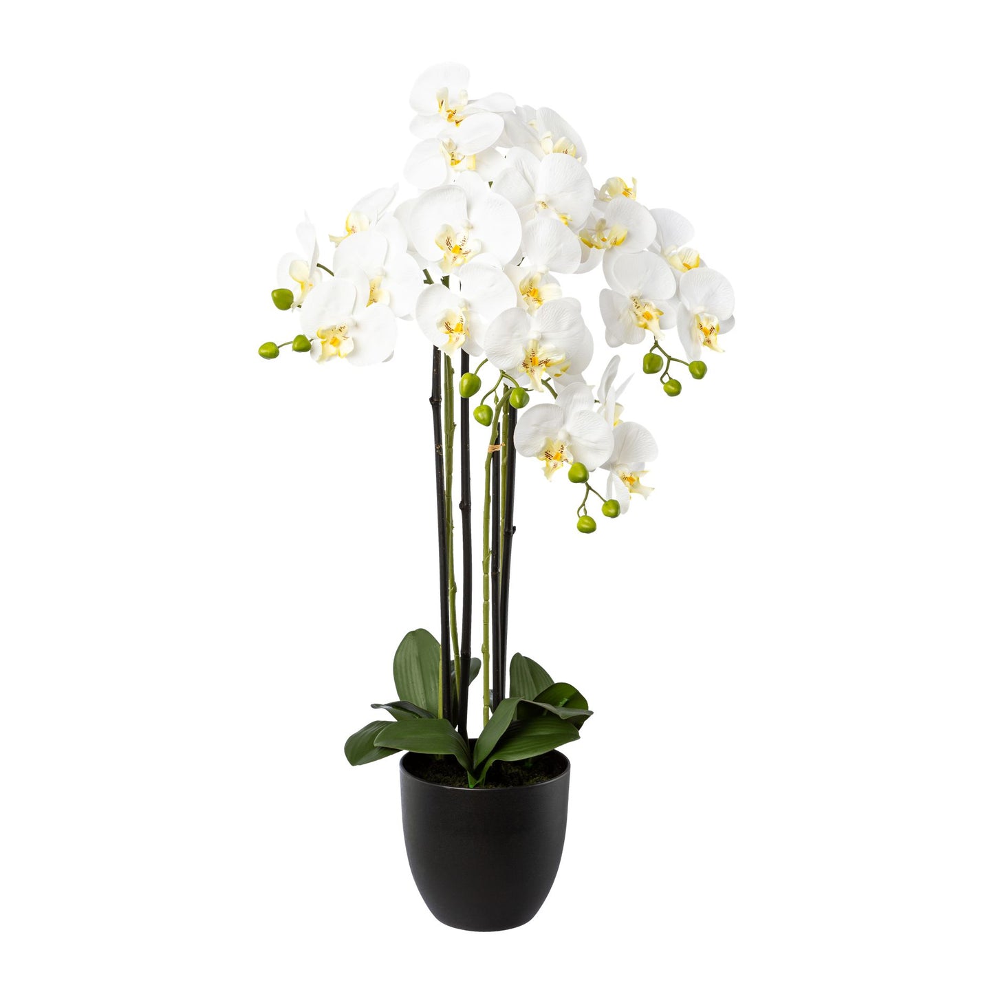 Phalaenopsis Kunstpflanze 83 cm im modernen Resintopf – Elegante weiße Orchidee für Ihr Zuhause