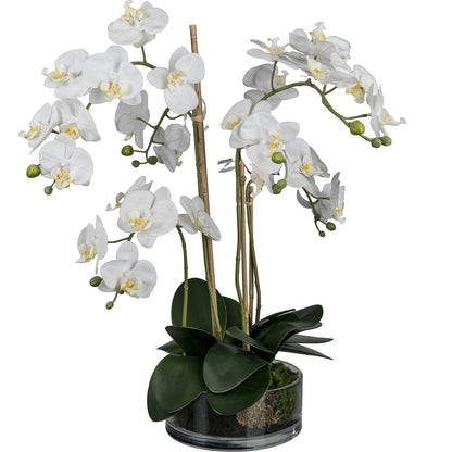 **Kunstpflanze Phalaenopsis Orchidee im Glas, 50 cm hoch, elegante weiße Deko**