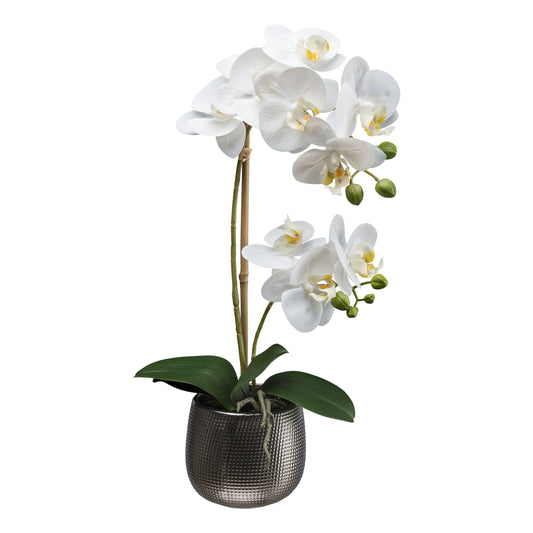 Phalaenopsis Orchidee 48 cm Kunstpflanze im modernen weißen Keramiktopf – Pflegeleicht!