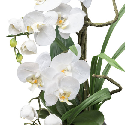 Phalaenopsis Kunstpflanze 68 cm mit Silbervase, elegante weiße Blüten, pflegeleicht