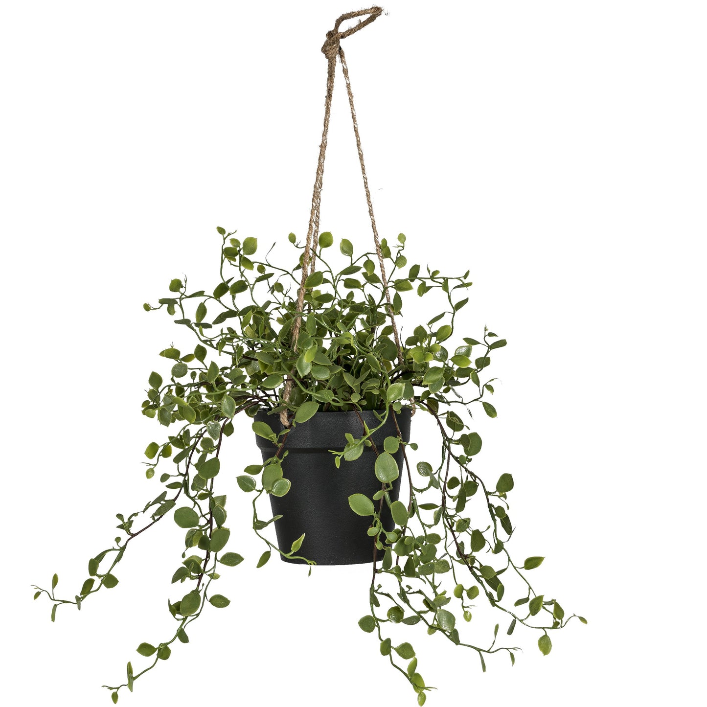 Mühlenbeckia Ampel Kunstpflanze 31 cm Grün Deko Hängend Innenraum Pflegeleicht Wohnzimmer