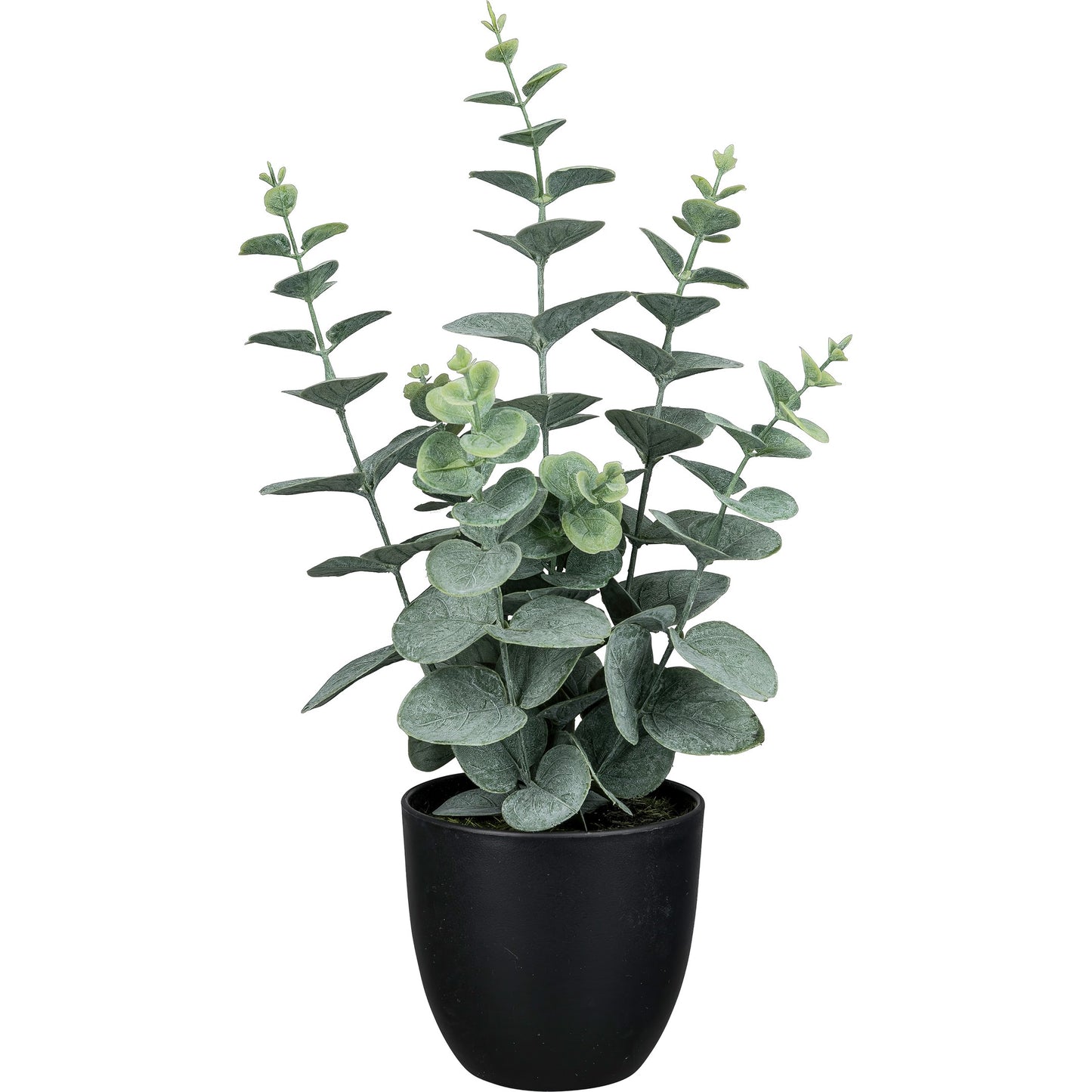 Künstlicher Eukalyptus 38 cm im grauen Topf – pflegeleichte Dekopflanze für Zuhause und Büro