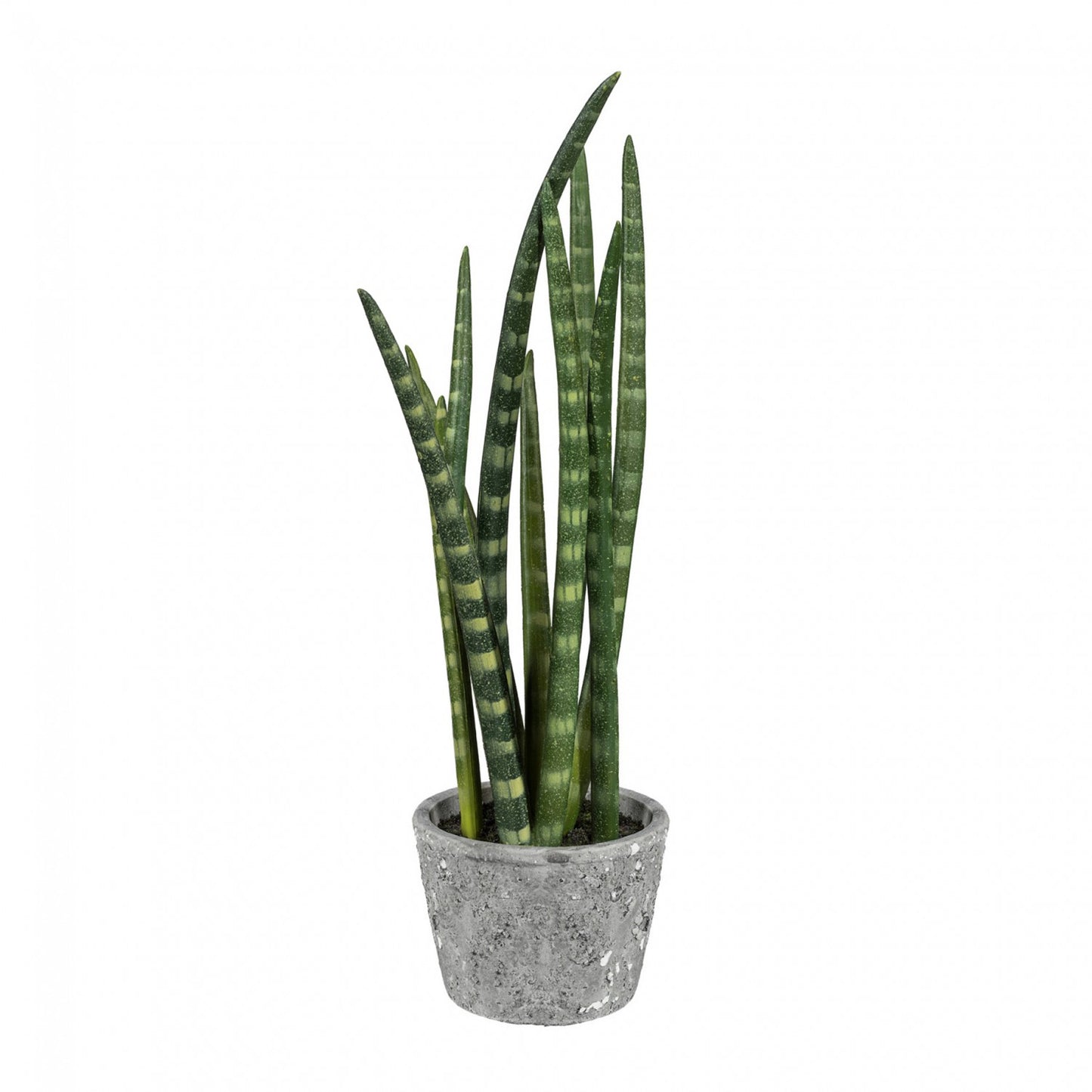 Sanseveria Kunstpflanze 45 cm im Zementtopf – Dekorative Pflanzen für Wohnräume